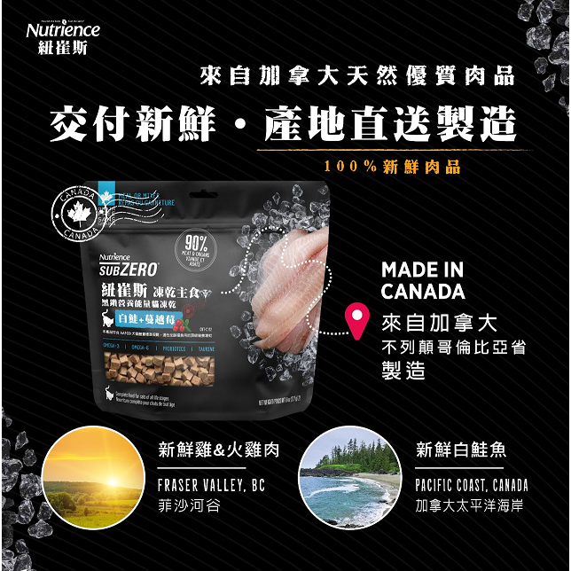#短效特價#加拿大《紐崔斯Nutrience》黑鑽營養能量貓狗凍乾生食餐-113G-細節圖4
