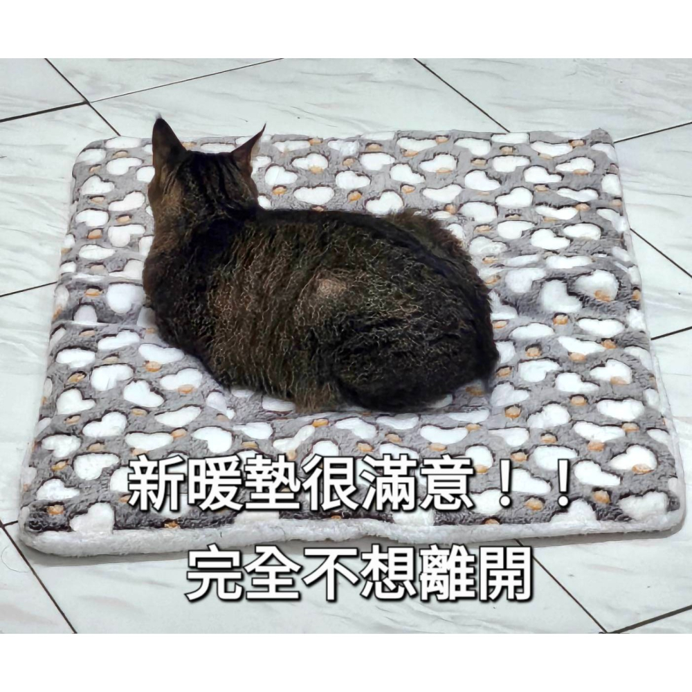 寵物保暖雙層厚毛毯60*80cm-細節圖3