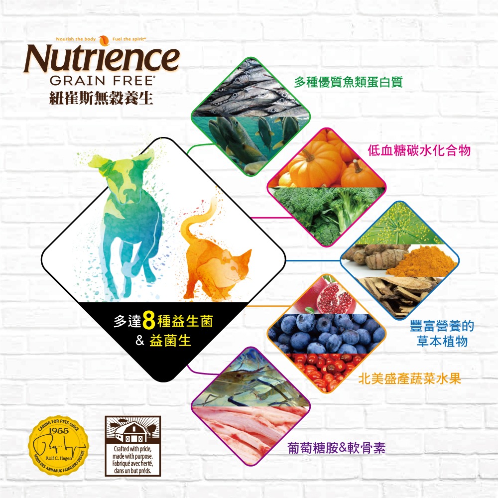 #短效特價#紐崔斯-田園/天然糧/無榖/黑鑽無穀凍乾狗糧 多款-細節圖6