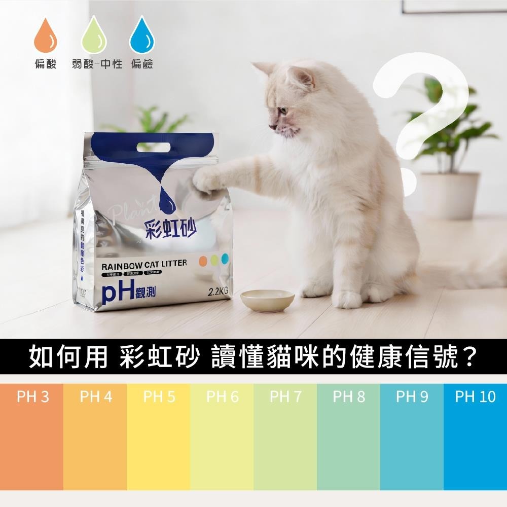 【Junbai】Plant輕植系彩虹砂-2.2KG-細節圖4