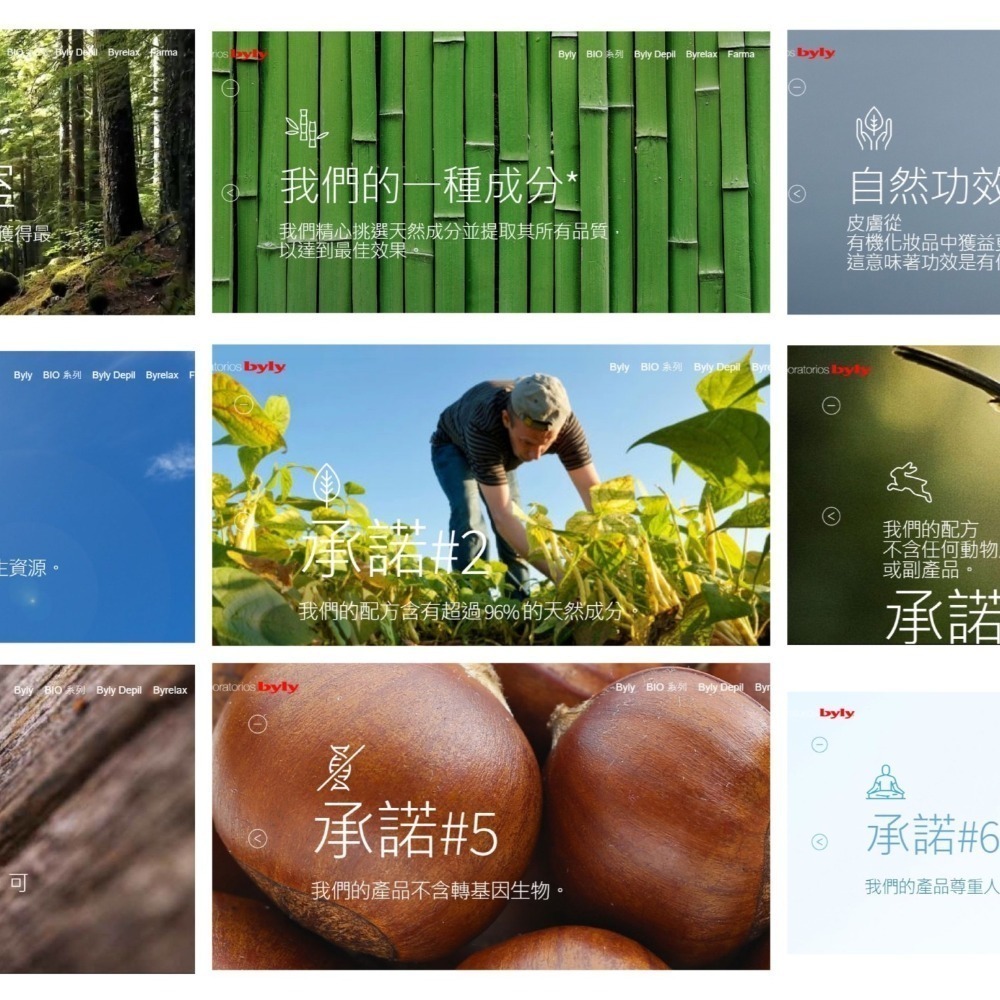 來自西班牙的80年老品牌byly-48小時bio滾珠體香劑、止汗劑50ml和Lavilin一樣不須天天使用-細節圖2