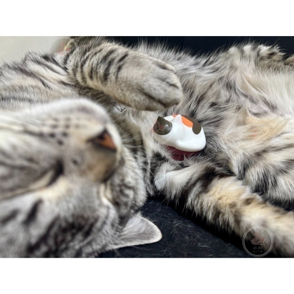 【JiBo吉寶日本代購】 現貨+預購 新色 絨毛 Radius NEKO 🐱貓咪耳機 藍芽耳機⭐️貓奴必備⭐️-細節圖8