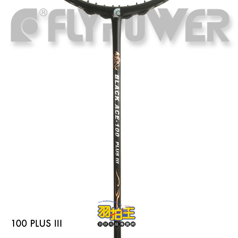 【羽拍王】FLYPOWER BLACK ACE-100 PLUS III 羽球拍 限定版 新款(金銀箔色)-細節圖2