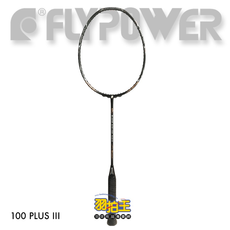 【羽拍王】FLYPOWER BLACK ACE-100 PLUS III 羽球拍 限定版 新款(金銀箔色)-細節圖3