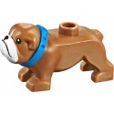Lego 小動物-規格圖1