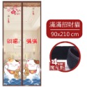 防蚊門簾 門簾 靜音門簾 磁吸門簾 無聲門簾 磁鐵門簾 蚊帳門簾 磁吸窗簾 防蚊蟲門簾 睡簾 蚊帳門 窗簾門簾-規格圖9