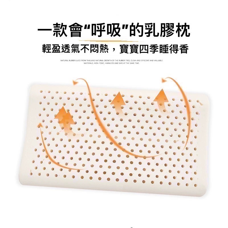 🌳天然乳膠  🍭兒童枕 👼🏻讓孩子🚫告別塵蟎🚫  ❤️呵護寶貝頸椎❤️-細節圖6