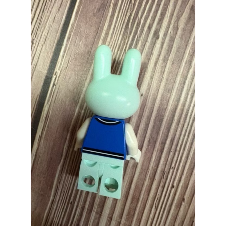 LEGO 樂高 77055蜜雪兒人偶 ，Sasha，服飾店-細節圖2