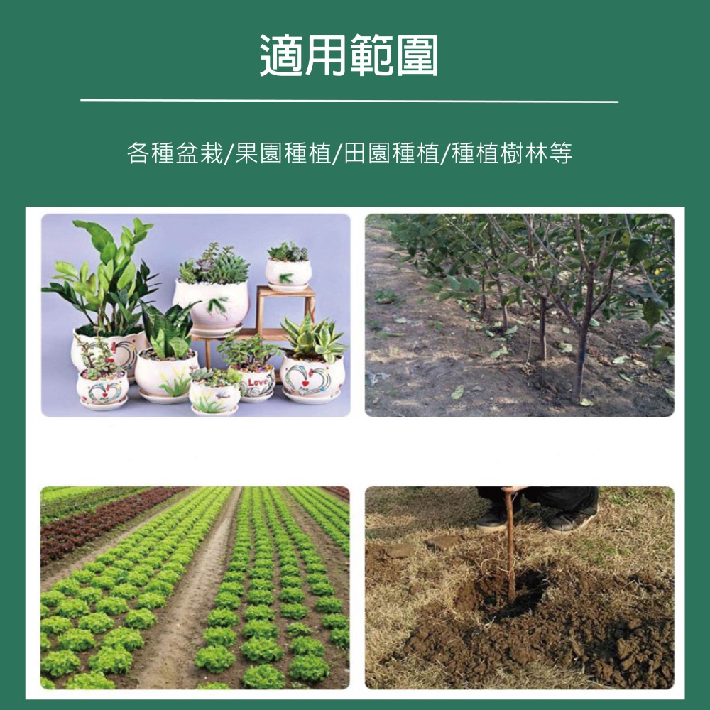 【泰鑫工具】「電鑽專用」 鑽土鑽尾 挖孔鑽頭 園藝用具 鑽土鑽頭  80*300mm-細節圖6