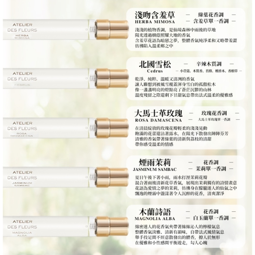 Chloe 仙境花園香水禮盒 10mlX5-細節圖2