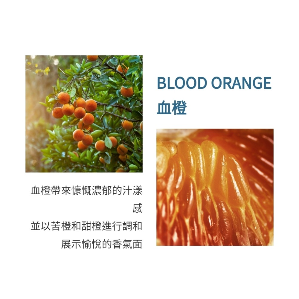 Atelier Cologne 法國歐瓏 ABSOLUTE 精醇系列-赤霞橘光香氛禮盒 (舊版）-細節圖2
