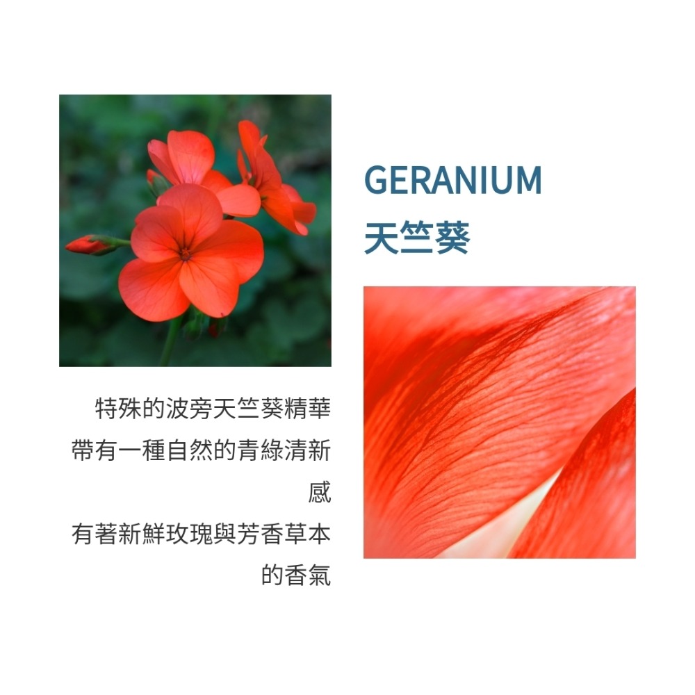 Atelier Cologne 法國歐瓏 ABSOLUTE 精醇系列-赤霞橘光香氛禮盒 (舊版）-細節圖3