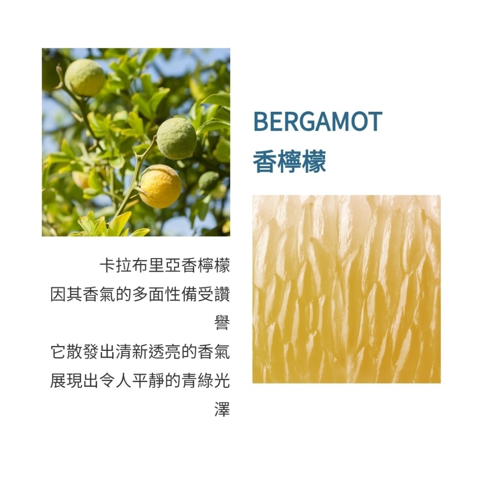 Atelier Cologne 法國歐瓏 ABSOLUTE 精醇系列-帝國麝香古龍水100ml-tester-細節圖2
