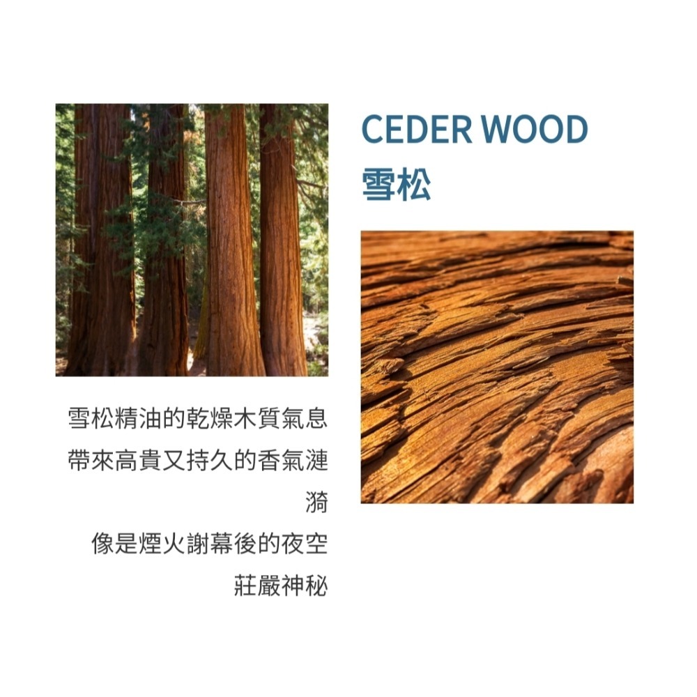 Atelier Cologne 法國歐瓏 ABSOLUTE 精醇系列-帝國麝香古龍水100ml-tester-細節圖4