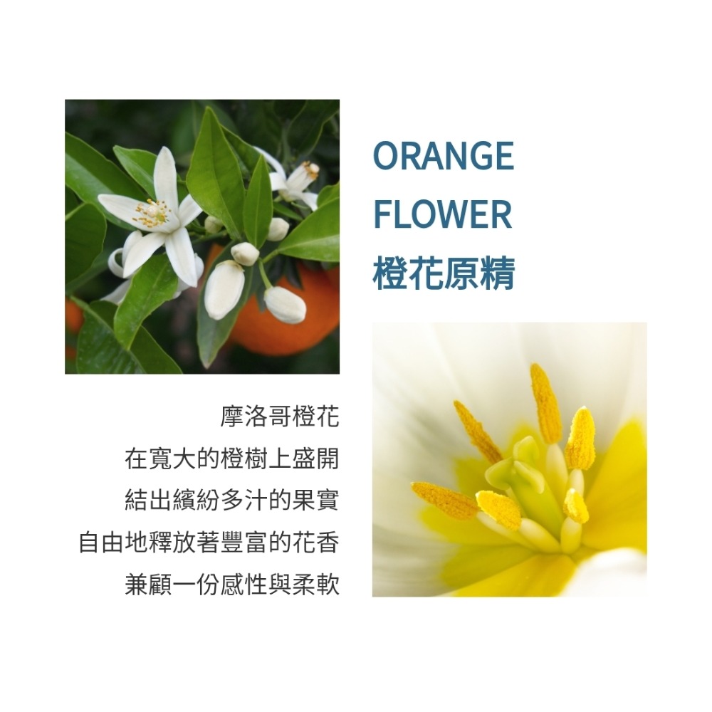 Atelier Cologne 法國歐瓏 ABSOLUTE 精醇系列-浪遊橙花(遊牧橙花）古龍水100ml-tester-細節圖2