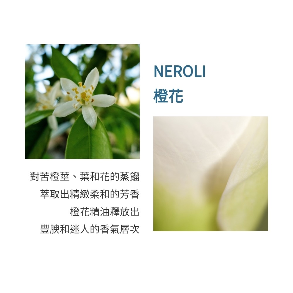 Atelier Cologne 法國歐瓏 ABSOLUTE 精醇系列-浪遊橙花(遊牧橙花）古龍水100ml-tester-細節圖3