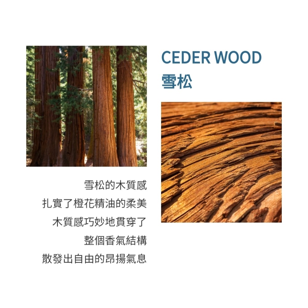 Atelier Cologne 法國歐瓏 ABSOLUTE 精醇系列-浪遊橙花(遊牧橙花）古龍水100ml-tester-細節圖4
