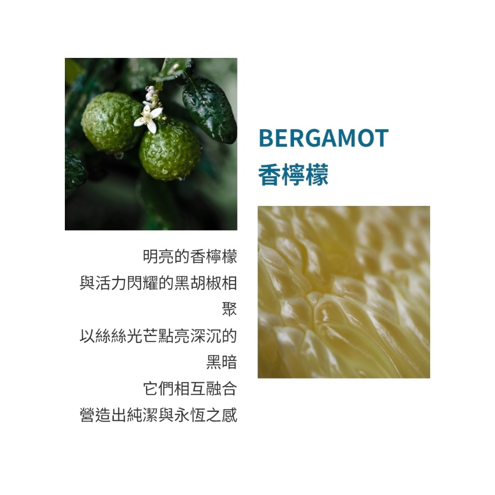 Atelier Cologne 法國歐瓏 RARE 珍稀系列-木愈永恆淡香精 100ml-tester-細節圖4