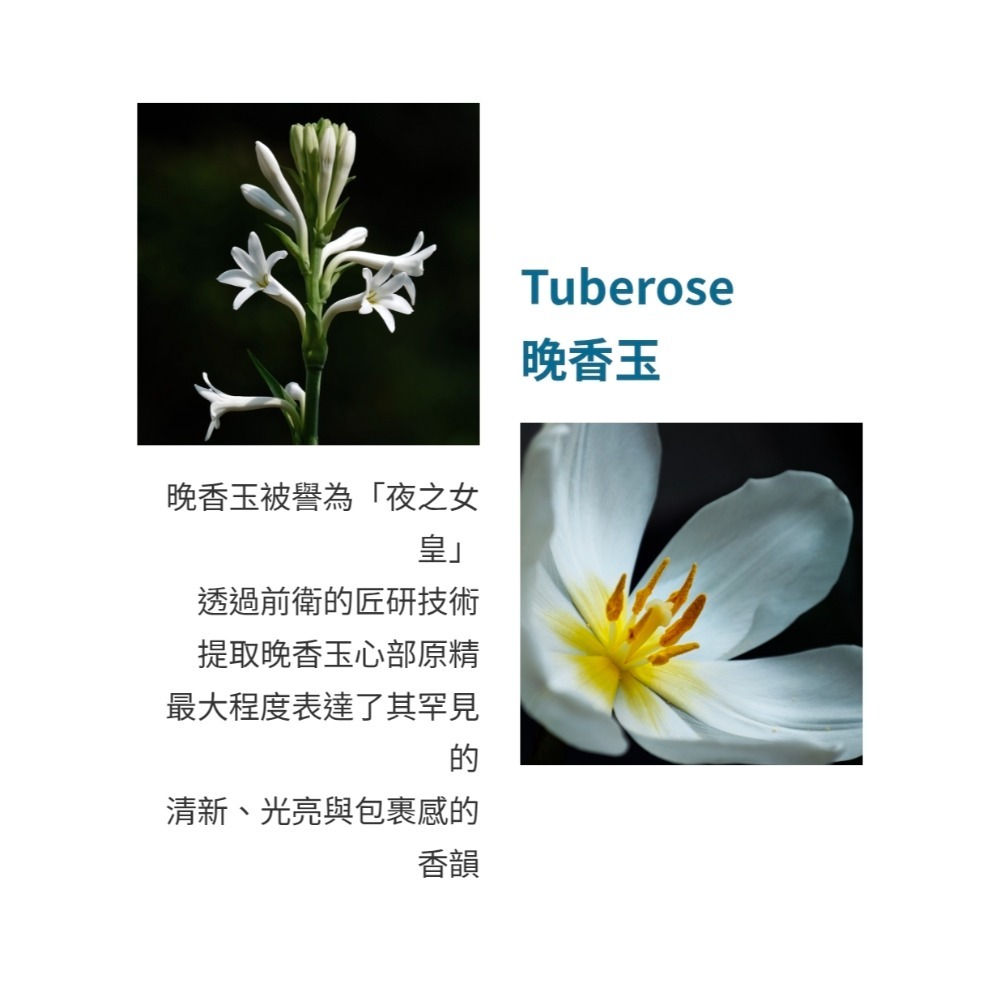 Atelier Cologne 法國歐瓏 RARE 珍稀系列-破曉晚香淡香精 100ml-tester-細節圖3