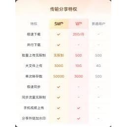 百度網盤 超級會員 可刷卡 加速 贈送5TB空間 VIP 1-12月 提升速度100倍 PC電腦 PS-細節圖2
