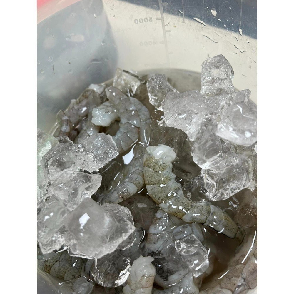 安心吃蝦仁-細節圖2