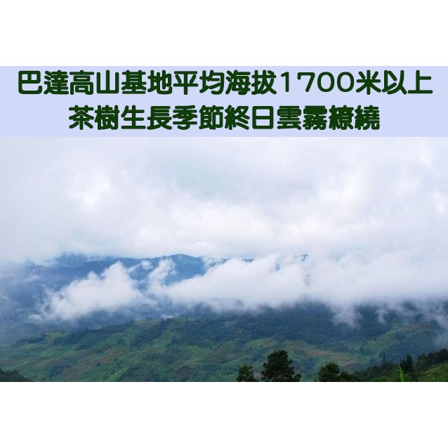 【藏茶閣】2012年雲南大益普洱茶 巴達高山熟磚茶 1000克 醇厚滑潤~盡顯棗香~餘韻回甘 有機生態茶園-細節圖8