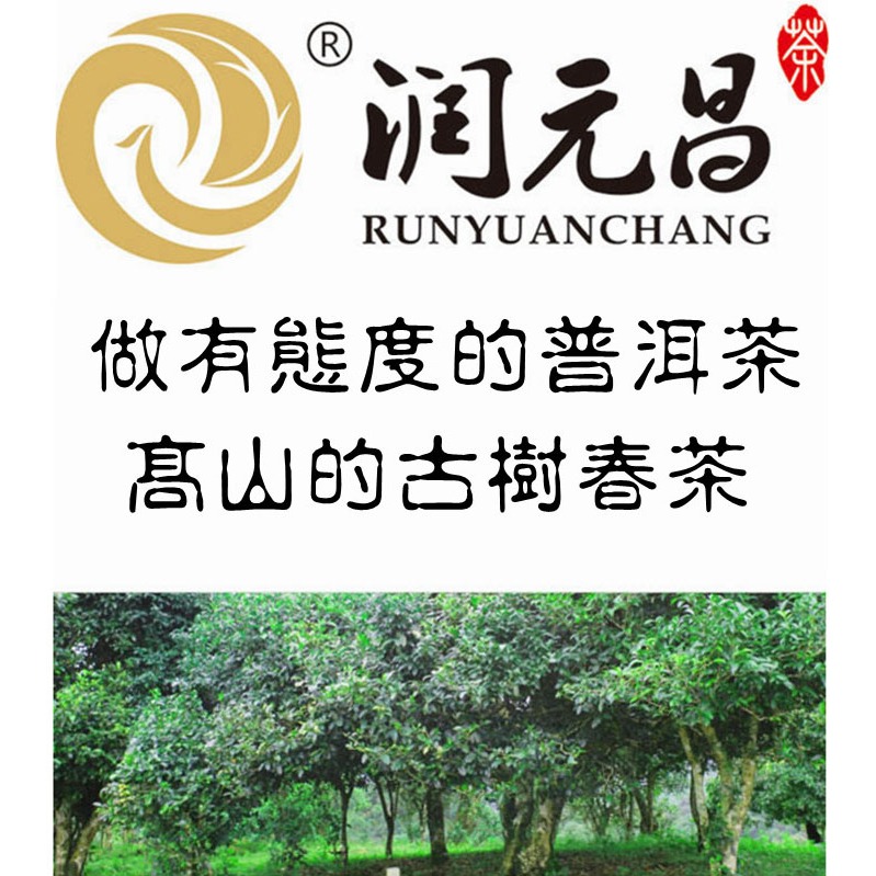 【藏茶閣】2016年潤元昌 老茶頭 廣東天馬大紅柑 與 陳年老茶頭 完美結合！陳皮普洱茶 柑普茶 熟茶 非桔普茶-細節圖7