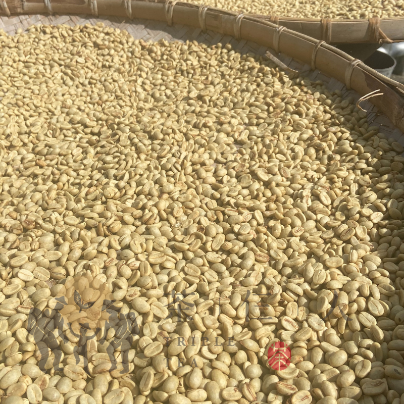 『現貨』阿里山精品咖啡-輕中烘焙 半磅裝-細節圖2