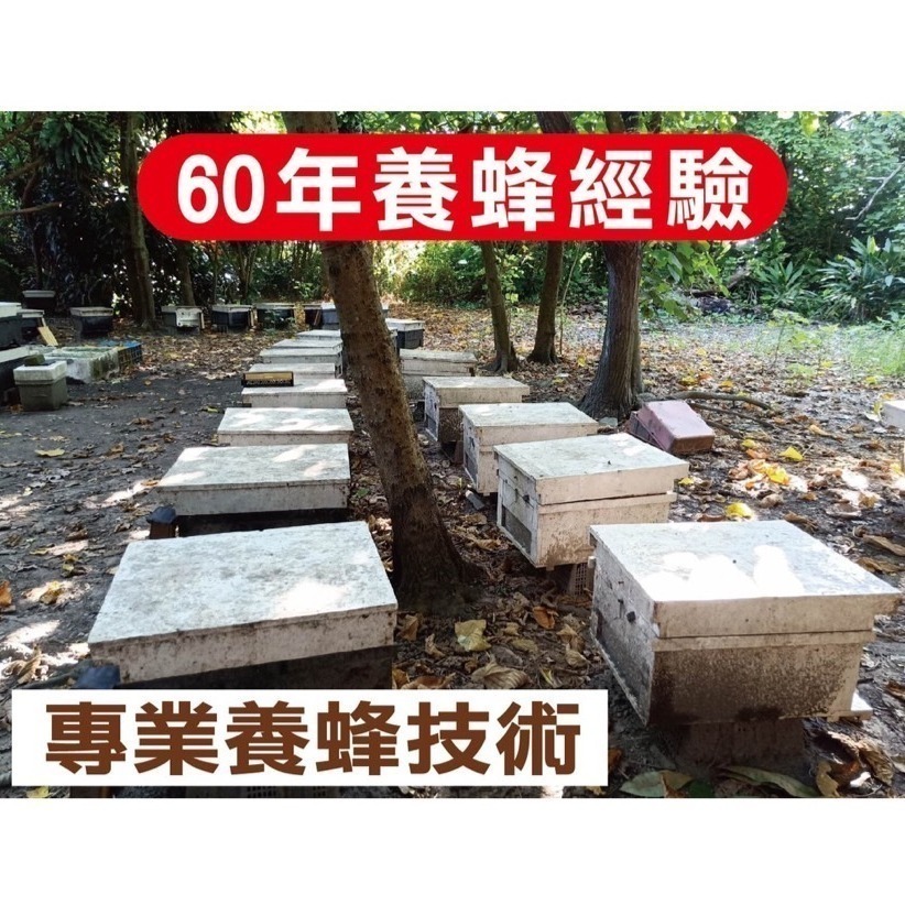 【老家蜂農養蜂場】龍眼蜂蜜/百花蜂蜜 3斤(1800g)/5斤(3000g)-細節圖4