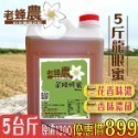 【老家蜂農養蜂場】龍眼蜂蜜/百花蜂蜜 3斤(1800g)/5斤(3000g)-規格圖3