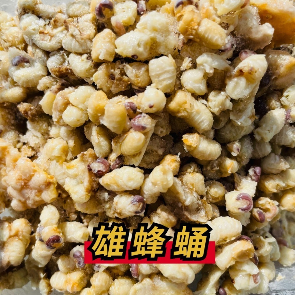【老家蜂農養蜂場】雄蜂蛹 300公克-細節圖2