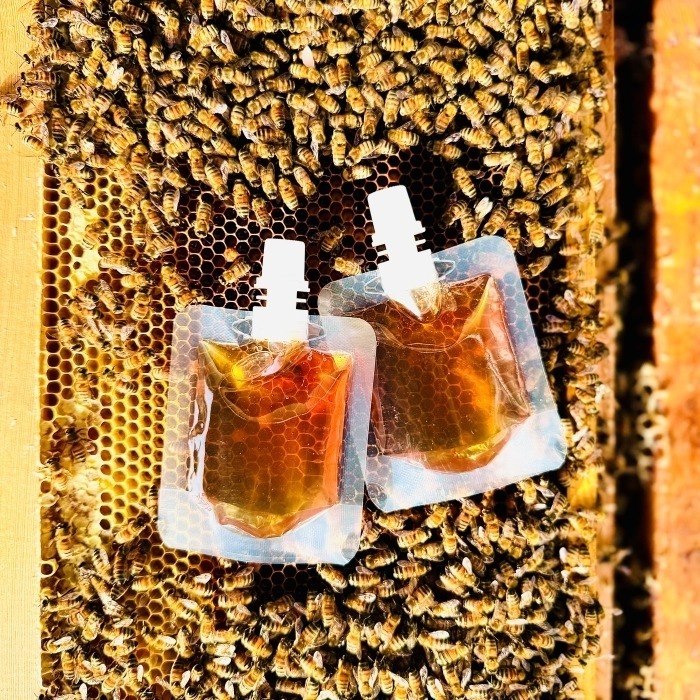 【老家蜂農養蜂場】蜂蜜隨享包/蜂蜜試吃/龍眼蜜/荔枝蜜/洛神花蜜/露營必備/打開就能直接吃-細節圖4