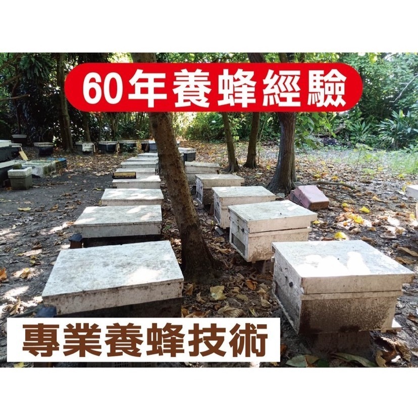 【老家蜂農養蜂場】蜂蜜隨享包/蜂蜜試吃/龍眼蜜/荔枝蜜/洛神花蜜/露營必備/打開就能直接吃-細節圖5