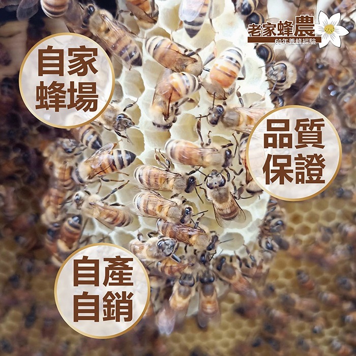 【老家蜂農養蜂場】100%原始天然的頂級生蜜 頂級百花生蜂蜜 頂級龍眼生蜂蜜 頂級荔枝生蜂蜜 小農熟成封蓋蜜-細節圖10