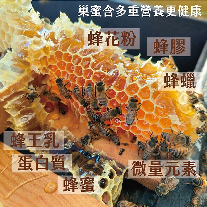 蜂巢蜜 蜂巢 成熟蜜封蓋-細節圖2