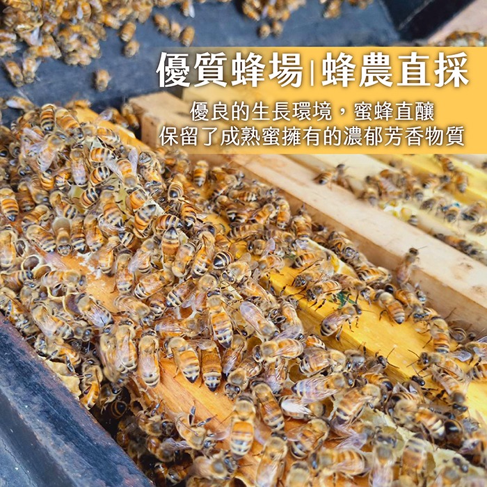 蜂巢蜜 蜂巢 成熟蜜封蓋-細節圖7