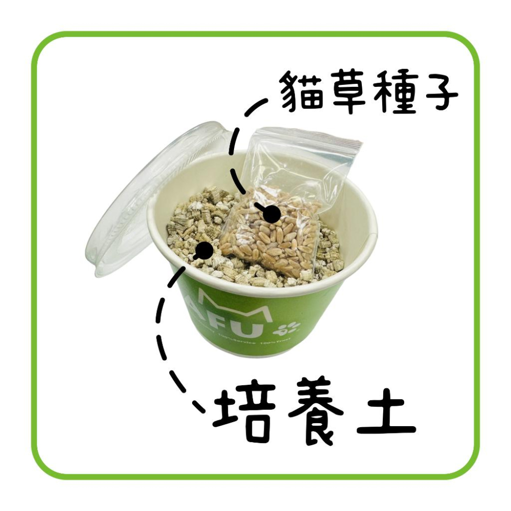 【AFU寵物世界】草杯杯 貓零食 貓咪保健 寵物用品 貓咪狗狗 毛孩用品 貓咪玩具 貓咪用品-細節圖2