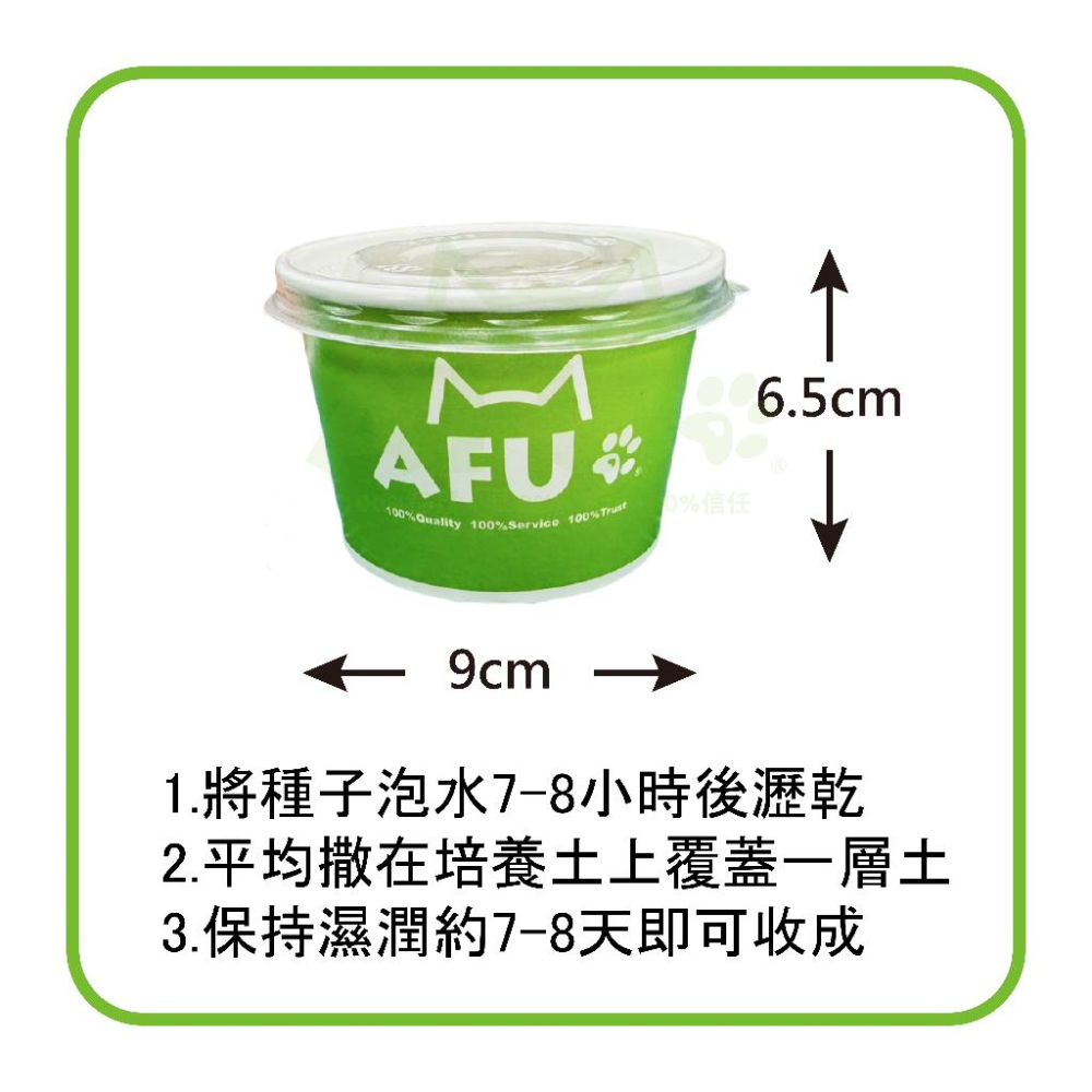 【AFU寵物世界】草杯杯 貓零食 貓咪保健 寵物用品 貓咪狗狗 毛孩用品 貓咪玩具 貓咪用品-細節圖3