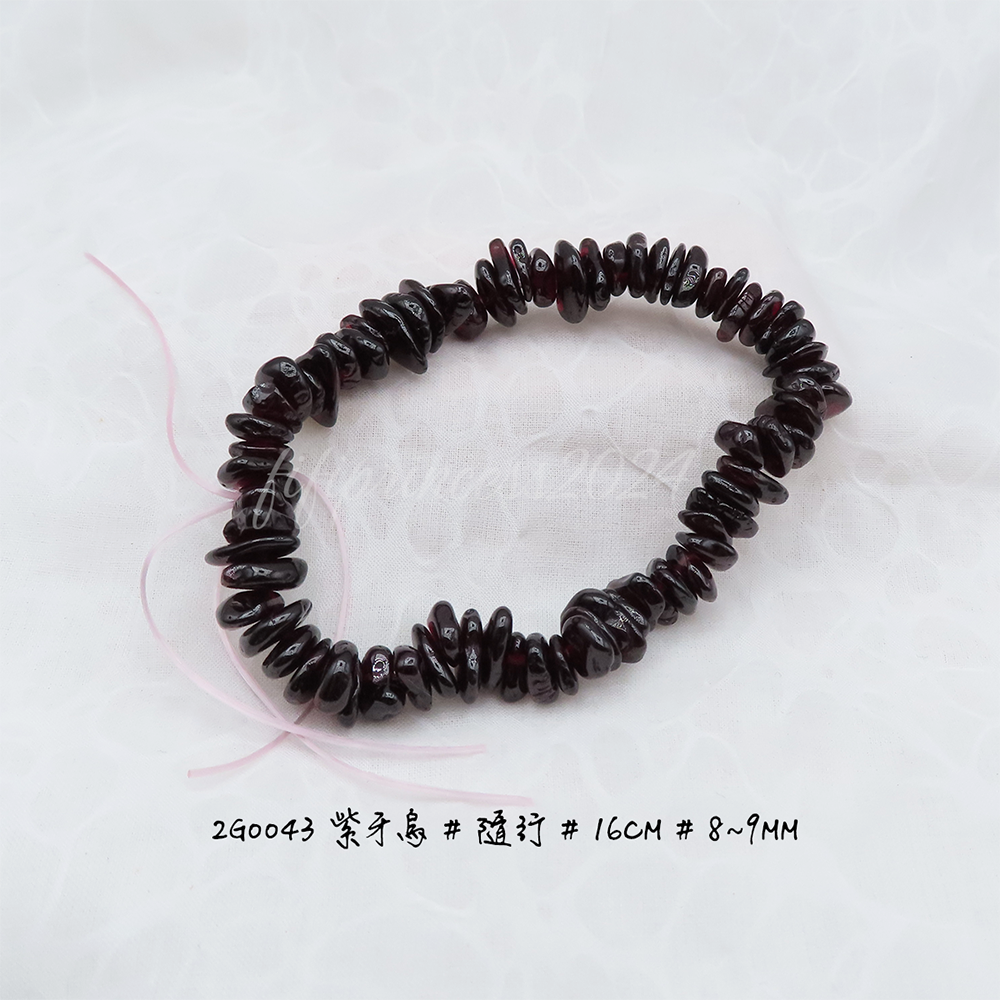 紫牙烏-隨行-16cm