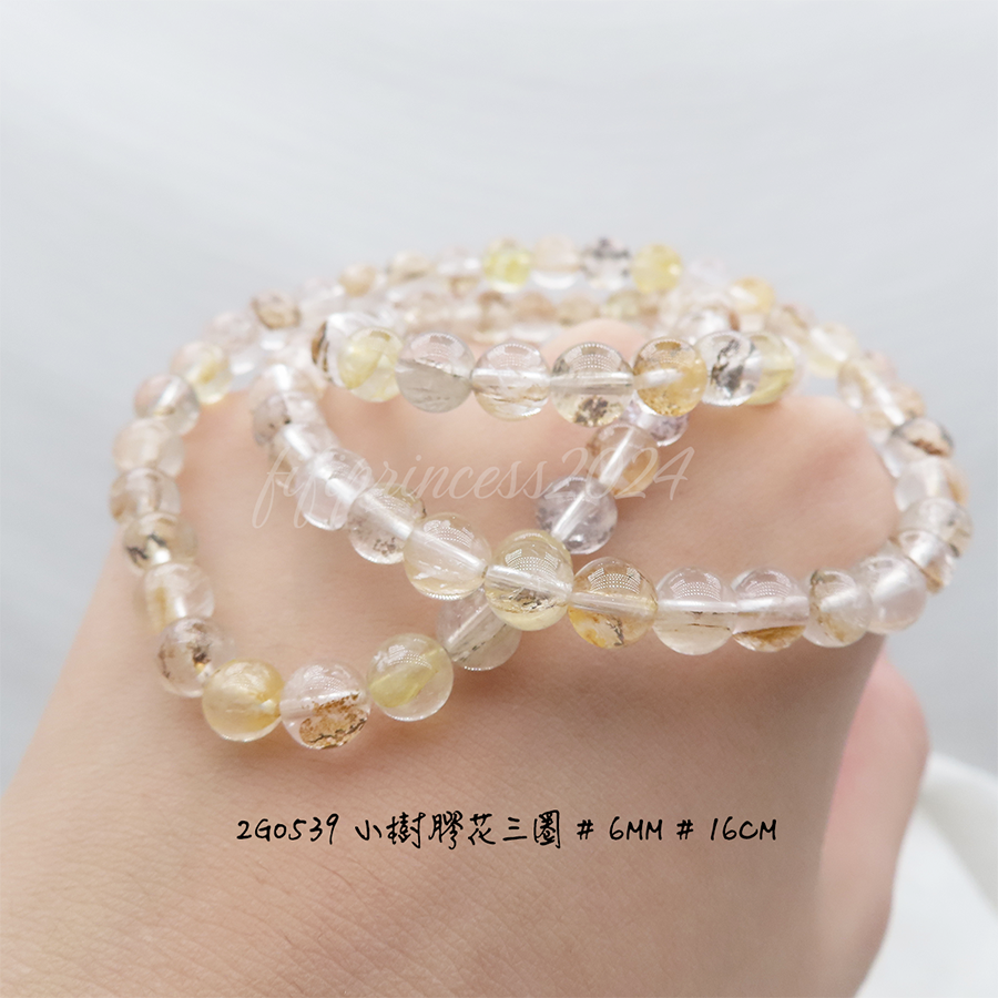 肥肥公主水晶小舖＊0927＊膠花＊小樹膠花＊發財樹＊招財＊招人緣＊-細節圖3