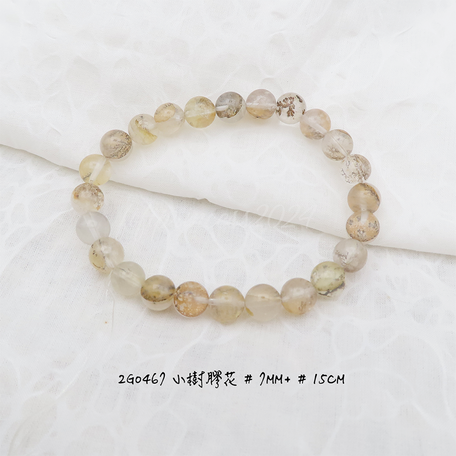 肥肥公主水晶小舖＊0927＊膠花＊小樹膠花＊發財樹＊招財＊招人緣＊-規格圖4