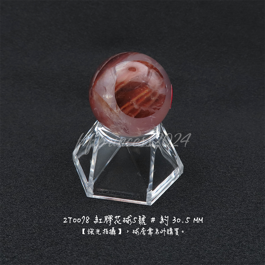 紅膠花球5號