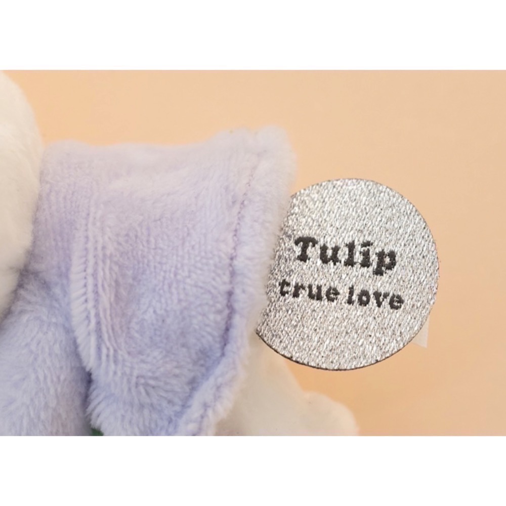 【現貨】米菲兔 Flower Miffy- 花語吊飾娃🌷-細節圖5