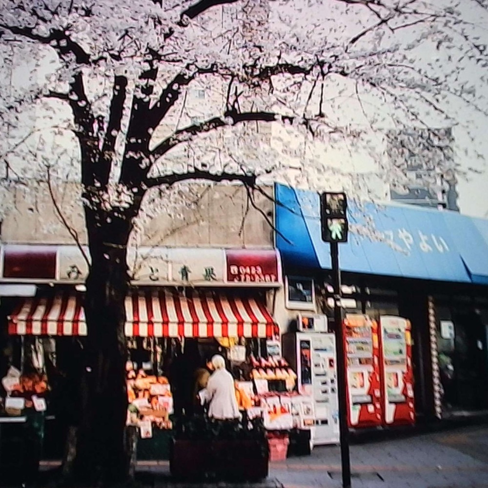 現貨 Escura SnapRoll 鑰匙圈盲盒相機 迷你數位相機-細節圖10