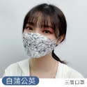 KF94立體口罩 kf94 口罩 魚型口罩 3D立體口罩 立體口罩 四層口罩 成人口罩 韓版口罩 漸層口罩-規格圖10