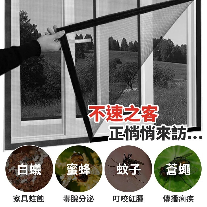 自由裁剪 紗網修補膠帶 紗窗修補膠帶 補破網 紗窗修補貼片 紗窗修補貼 補洞膠帶 修補紗網 紗網貼片 奈米紗窗貼-細節圖8