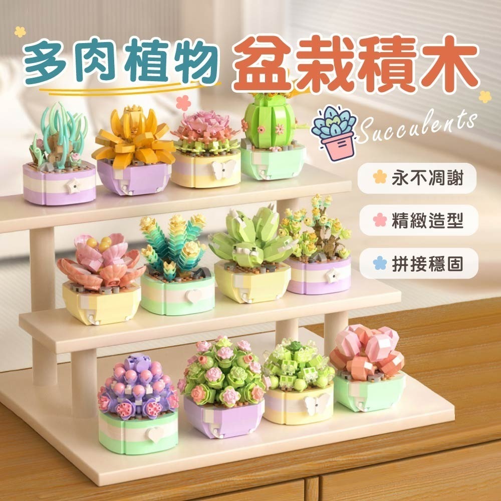 多肉植物盆栽積木 多肉植物 多肉積木 多肉盆栽積木 盆栽積木 積木花 植物積木 積木 交換禮物-細節圖4