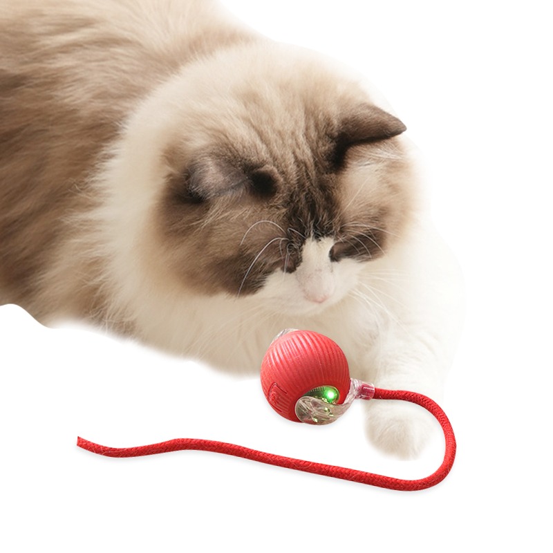 智能逗貓球 自動逗貓球 逗貓球 貓咪玩具球 貓咪玩具 逗貓 逗貓玩具 自動逗貓 貓的玩具 貓咪玩具電動-細節圖2