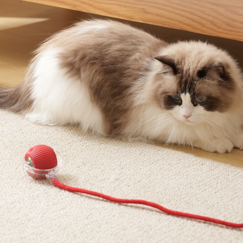 智能逗貓球 自動逗貓球 逗貓球 貓咪玩具球 貓咪玩具 逗貓 逗貓玩具 自動逗貓 貓的玩具 貓咪玩具電動-細節圖9