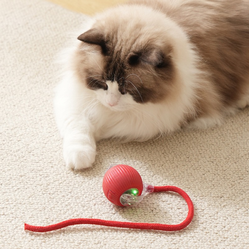 智能逗貓球 自動逗貓球 逗貓球 貓咪玩具球 貓咪玩具 逗貓 逗貓玩具 自動逗貓 貓的玩具 貓咪玩具電動-細節圖10